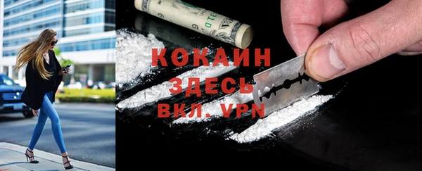 винт Богданович