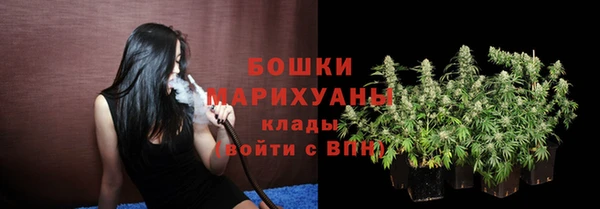 гидра Белоозёрский