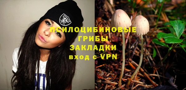 гашиш Богородицк