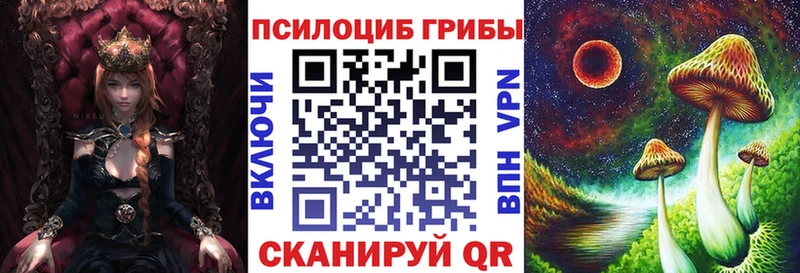 mega как зайти  Кузнецк  Галлюциногенные грибы Psilocybe 