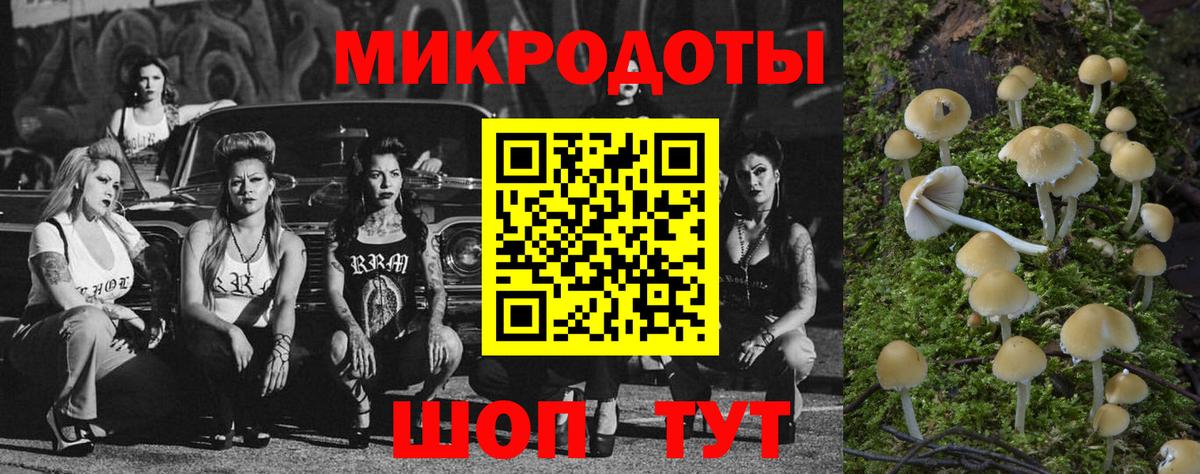 Галлюциногенные грибы Cubensis Кузнецк
